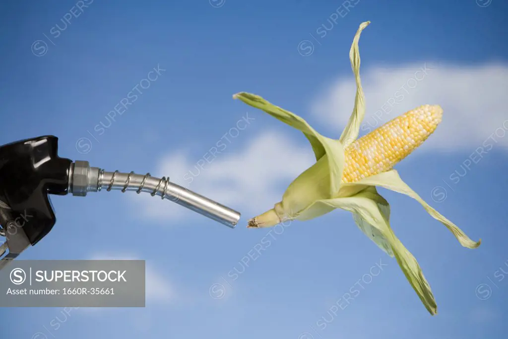 Man holding gas nozzle with corn cob