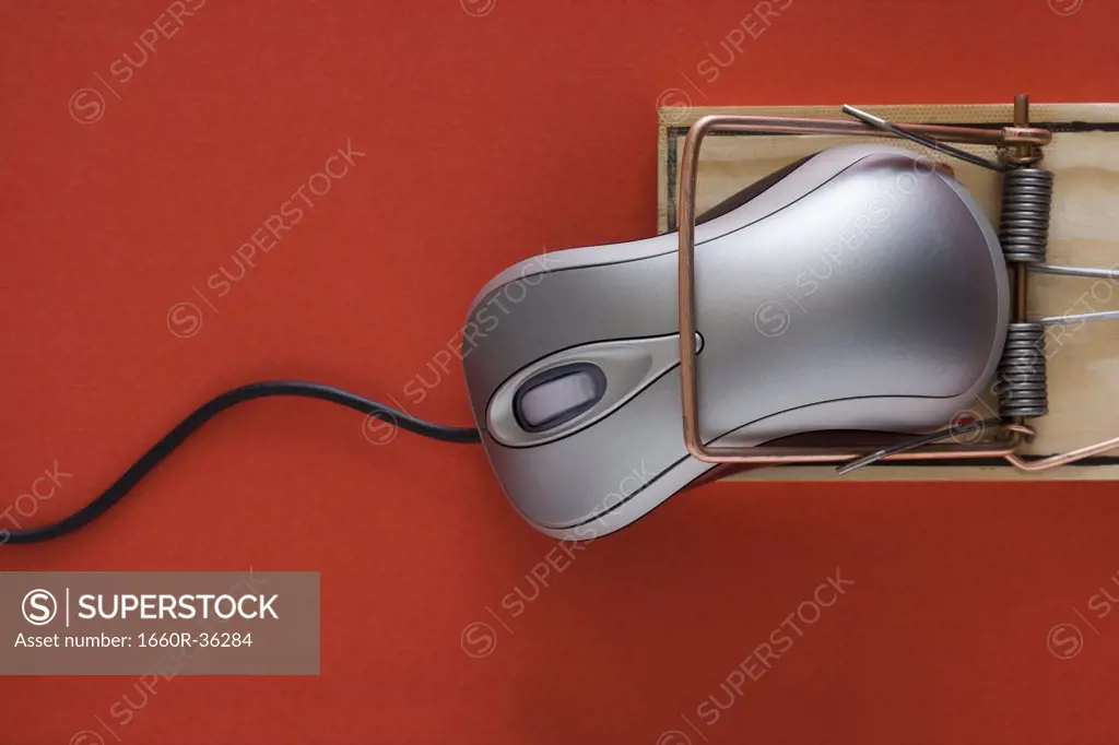 Computer mouse trap.
