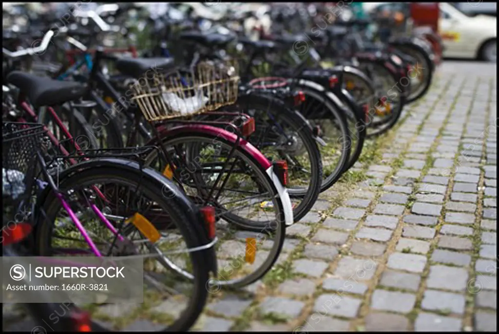 Bicycles parked in a row