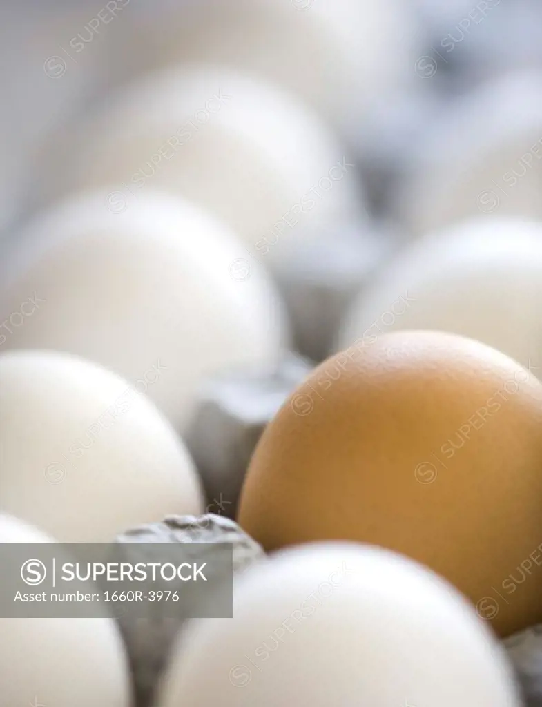 Close-up of white eggs and one brown egg in an egg carton