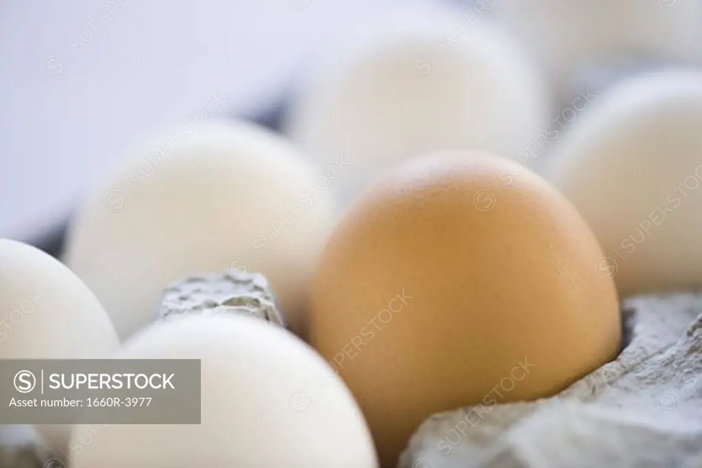 Close-up of white eggs and one brown egg in an egg carton