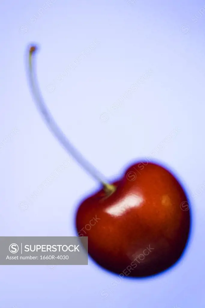Close-up of a cherry