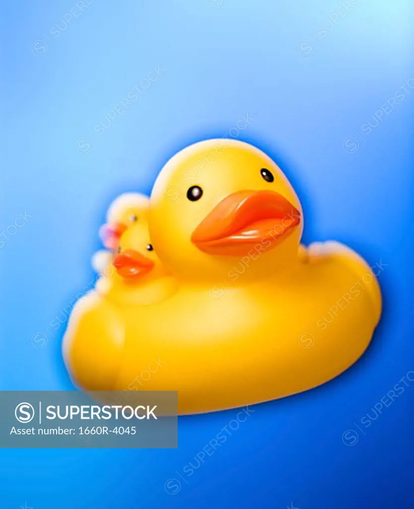 Close-up of a rubber duck