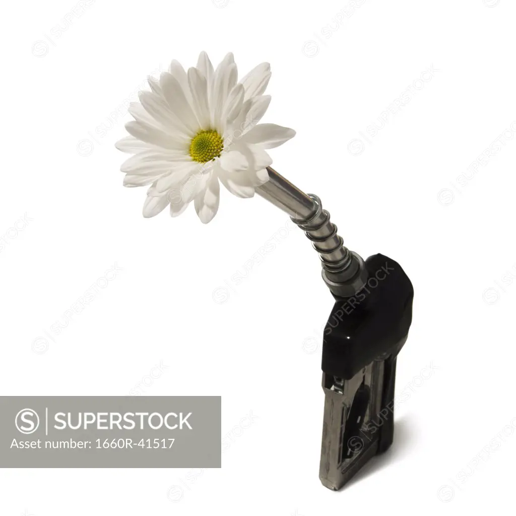 gas pump nozzle with a flower coming out of it