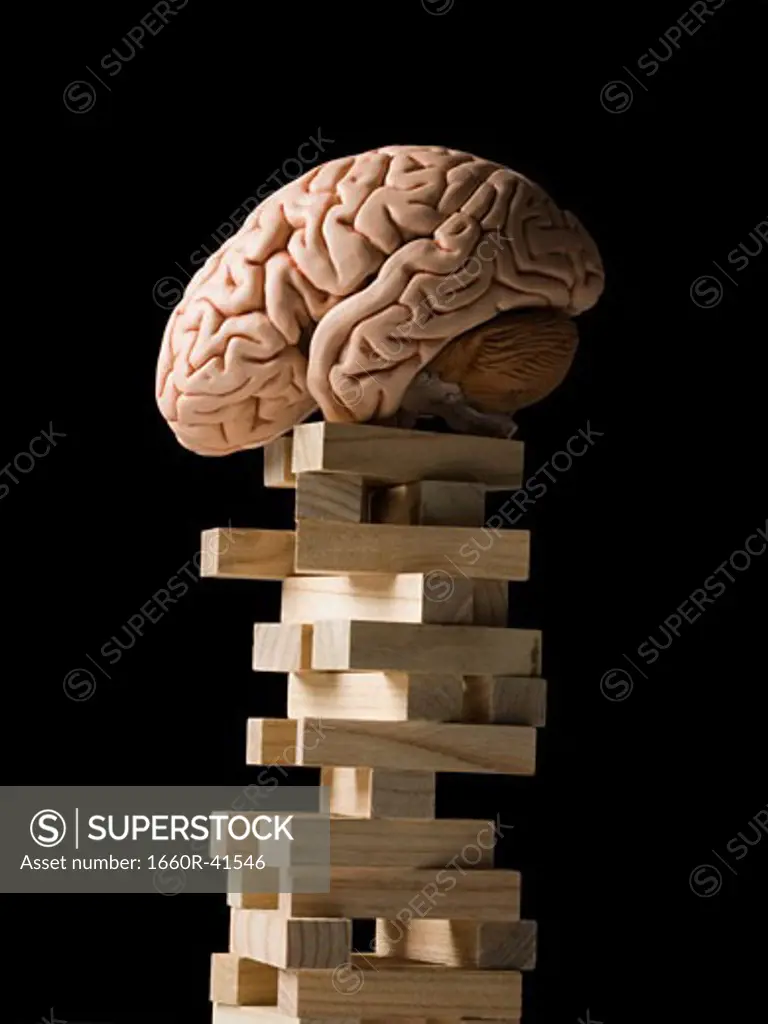 brain perched on a tower of blocks