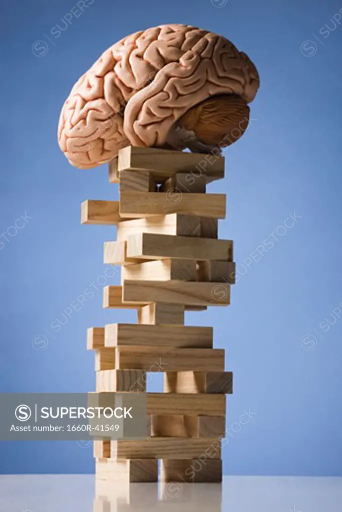 brain perched on a tower of blocks