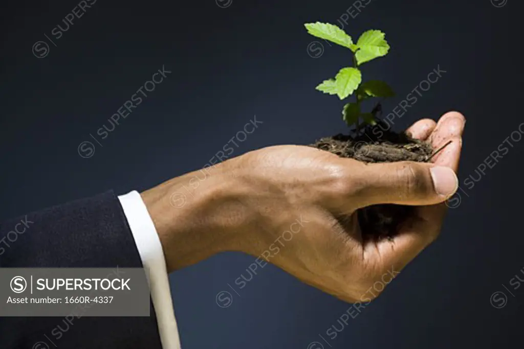 Man holding a sapling