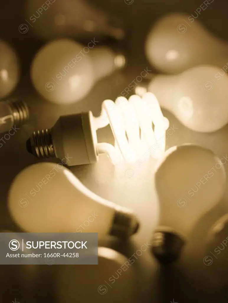 energy efficient light bulb among regular bulbs