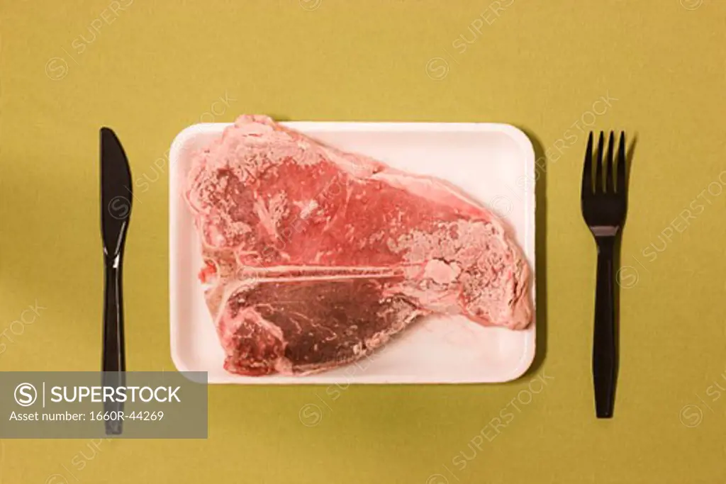 frozen uncooked steak being served on a plate