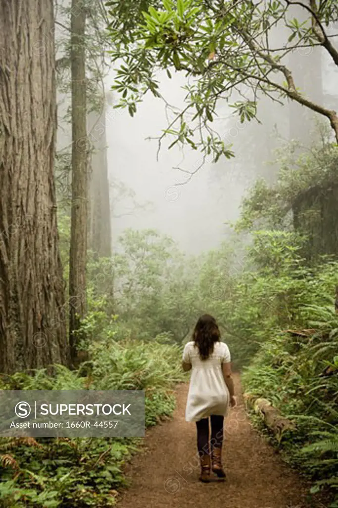 woman walking through a forest of giant redwoods