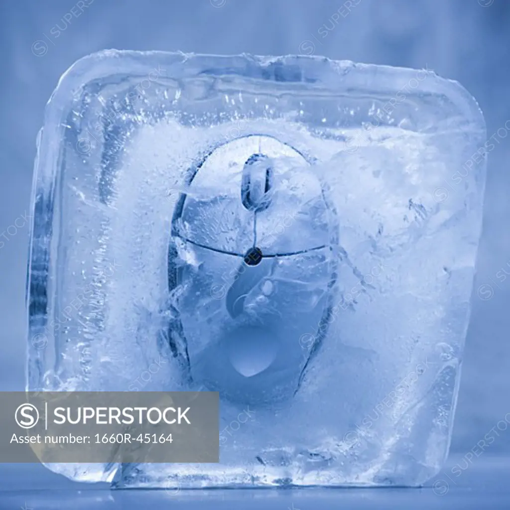 computer mouse frozen in a block of ice