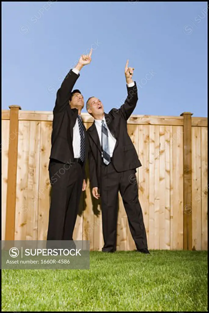 Low angle view of two businessmen pointing at the sky