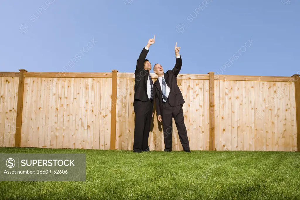Two businessmen pointing at the sky