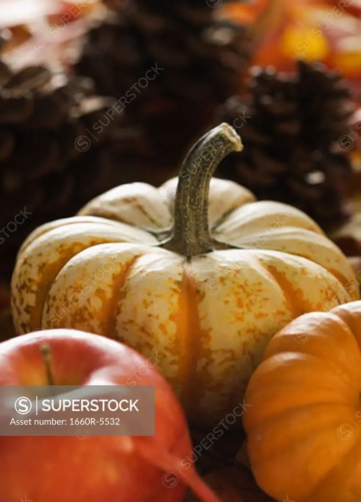 Close-up of two pumpkins and an apple