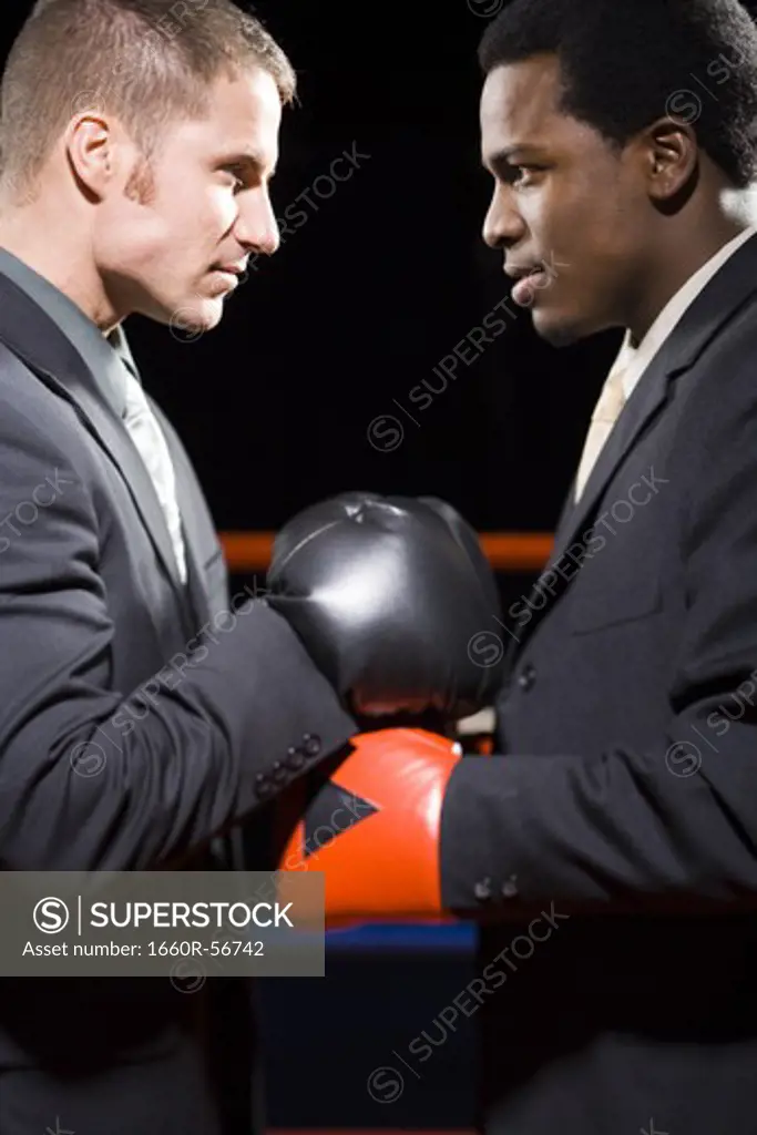 Businessmen boxing