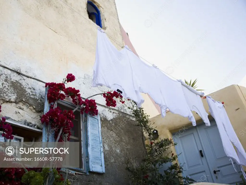 Clothes hanging on clothesline with building and flowers