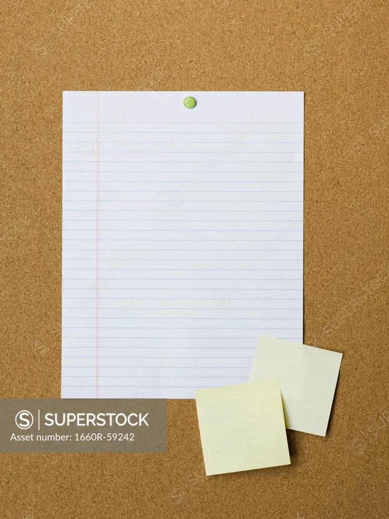 Blank adhesive notes and lined paper pinned to notice board