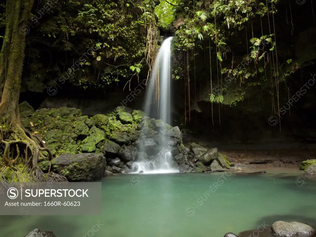 Dominica, Emerald Falls, Small waterfall at forest pool