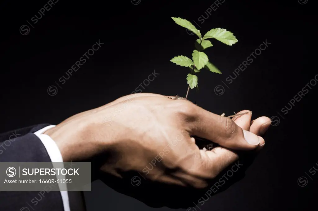 Man with small plant in hands