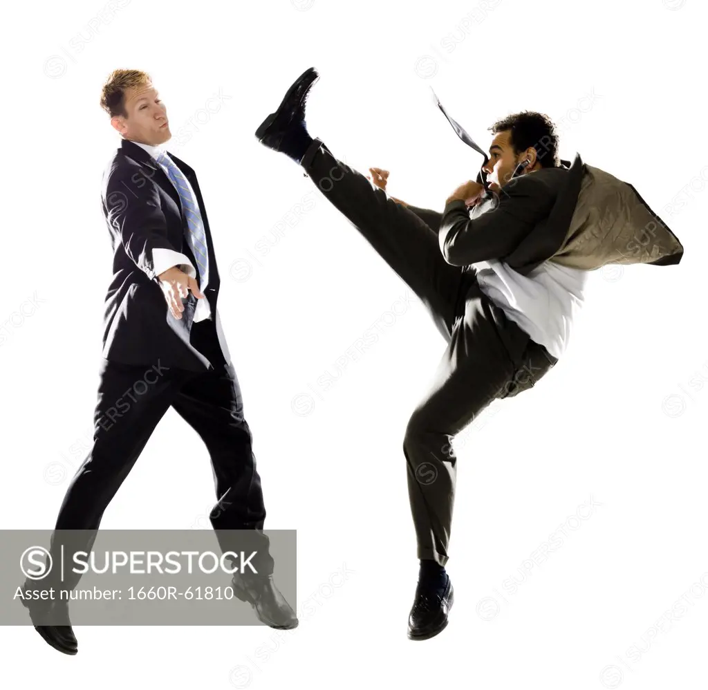 two businessmen fighting