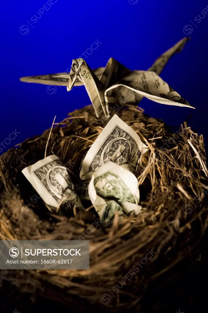 Nest with banknotes and origami bird