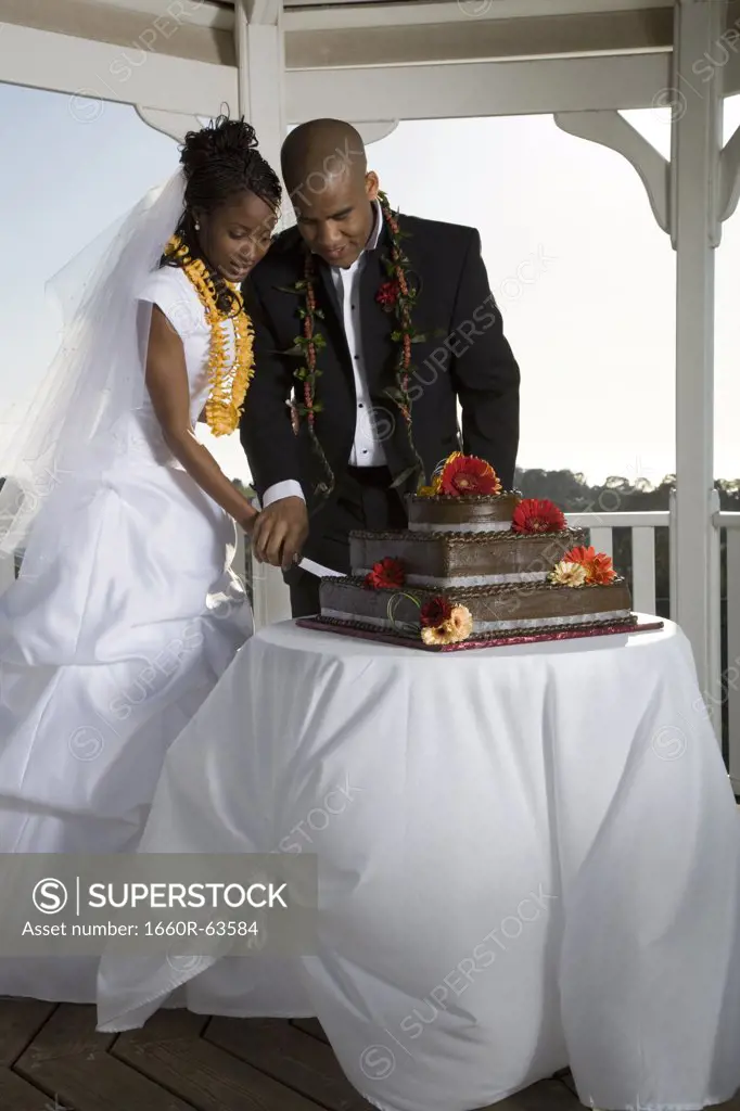 Bride and groom cutting their wedding cake