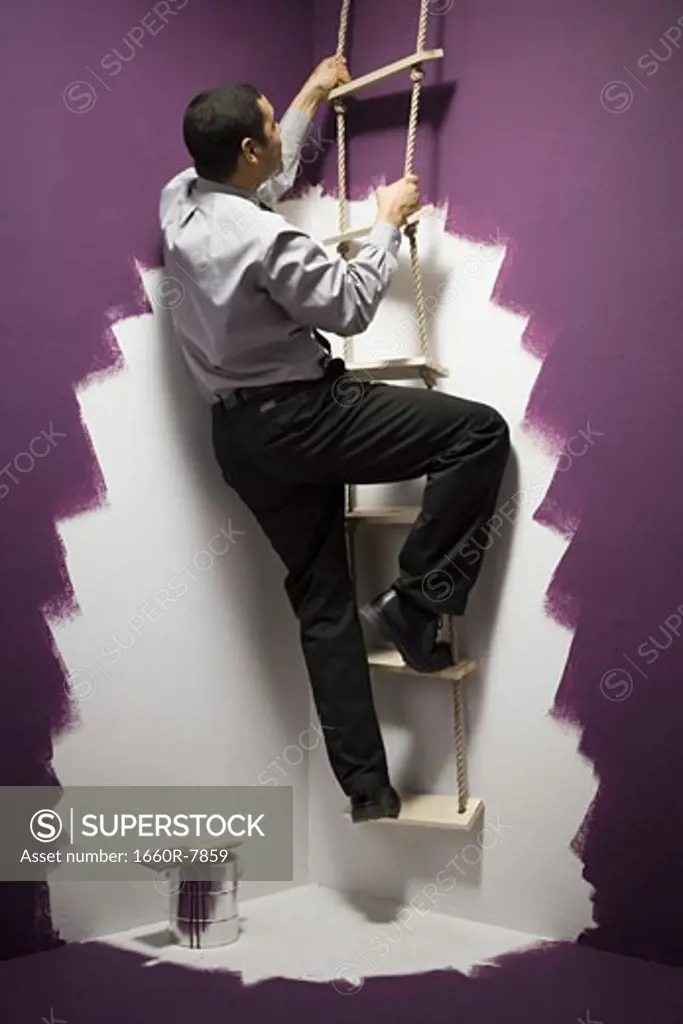 Rear view of a businessman climbing a ladder