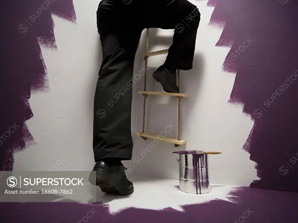 Low section view of a mid adult man climbing a ladder