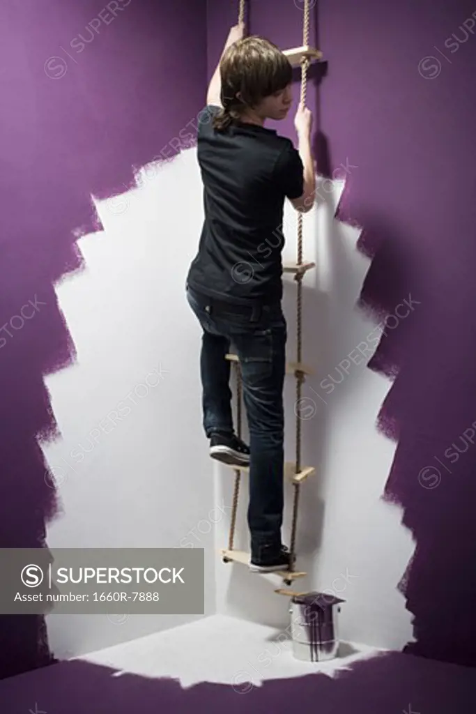 Rear view of a teenage boy climbing a ladder