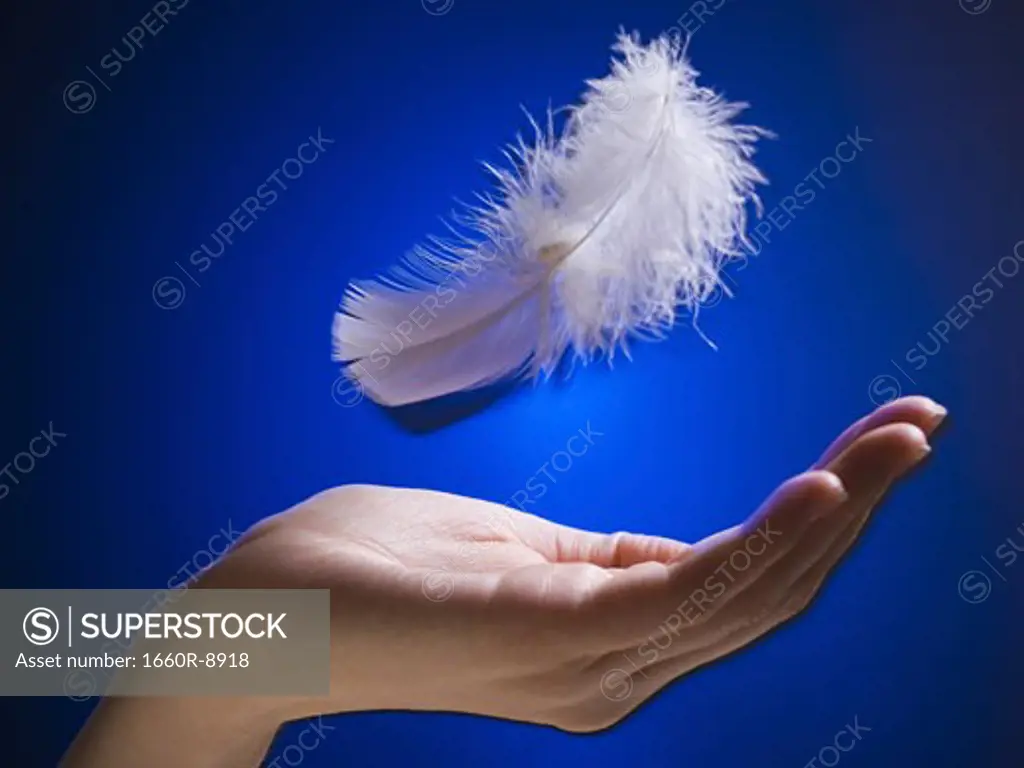 Close-up of a woman's hand catching a feather