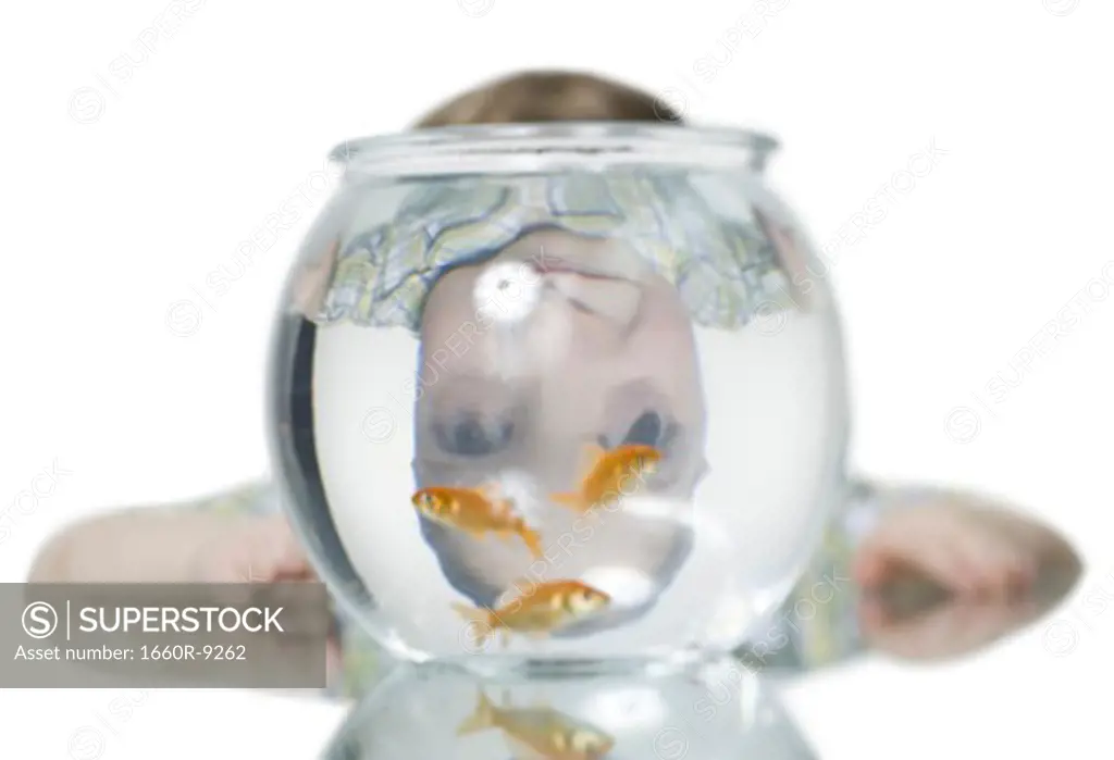 Close-up of a boy looking at goldfish in a fishbowl