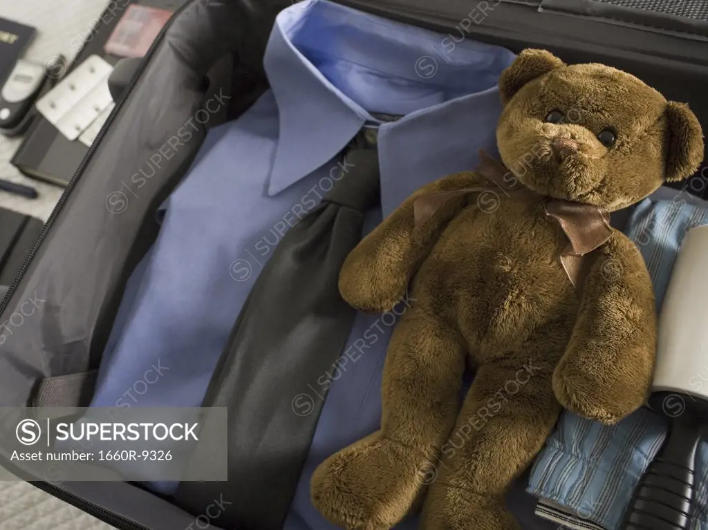 Close-up of a teddy bear in a suitcase