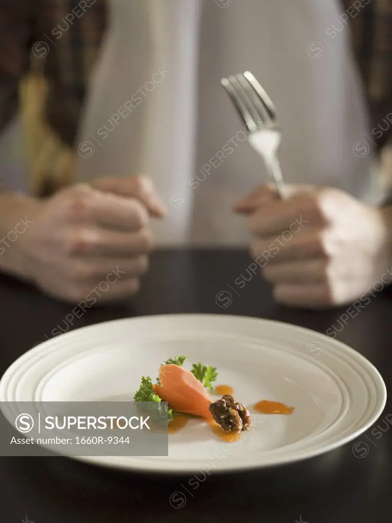 Close-up of food in a plate with a person holding a fork