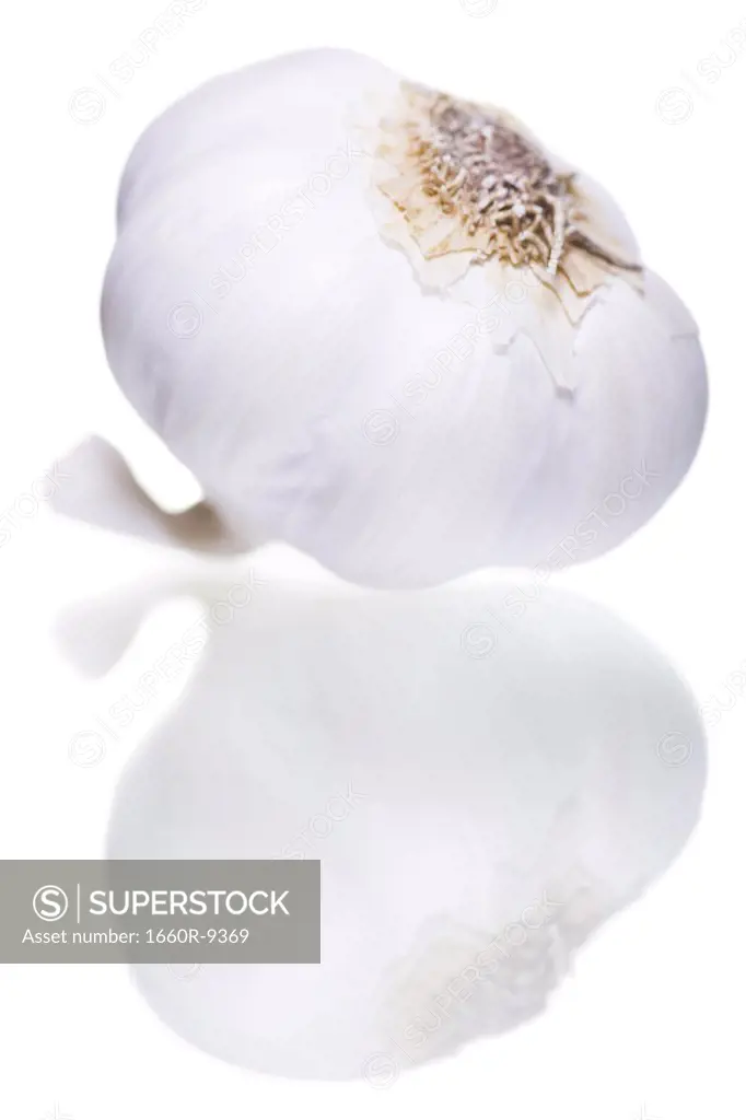 Close-up of a head of garlic
