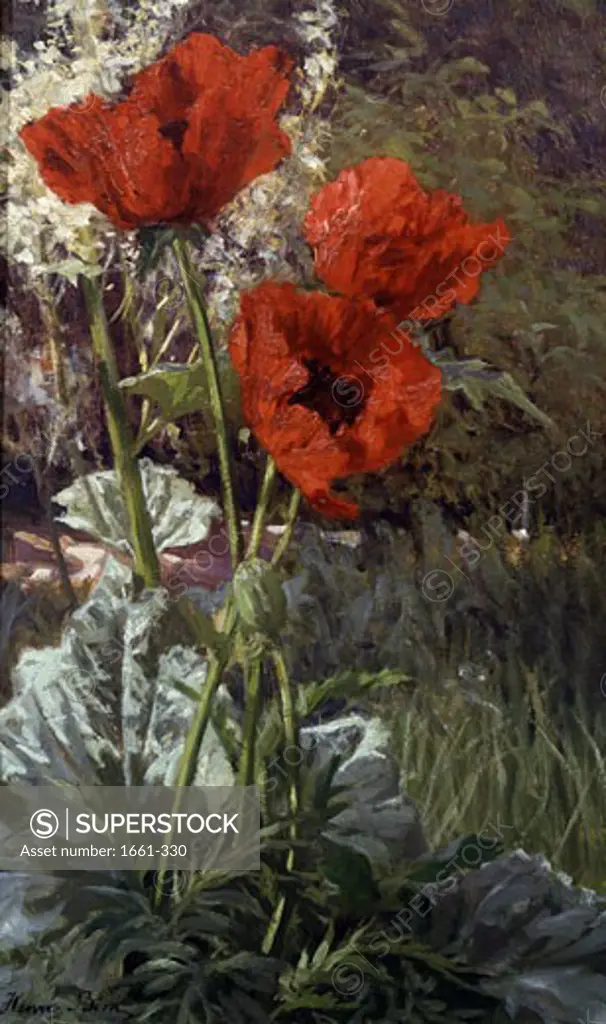 Poppies Henri Biva (1848-1928 French)