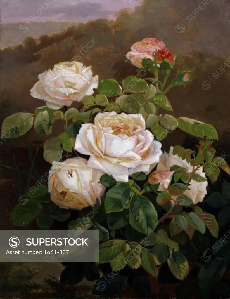 Still Life of Peach Roses Alexandre Debrus (1843-1905)