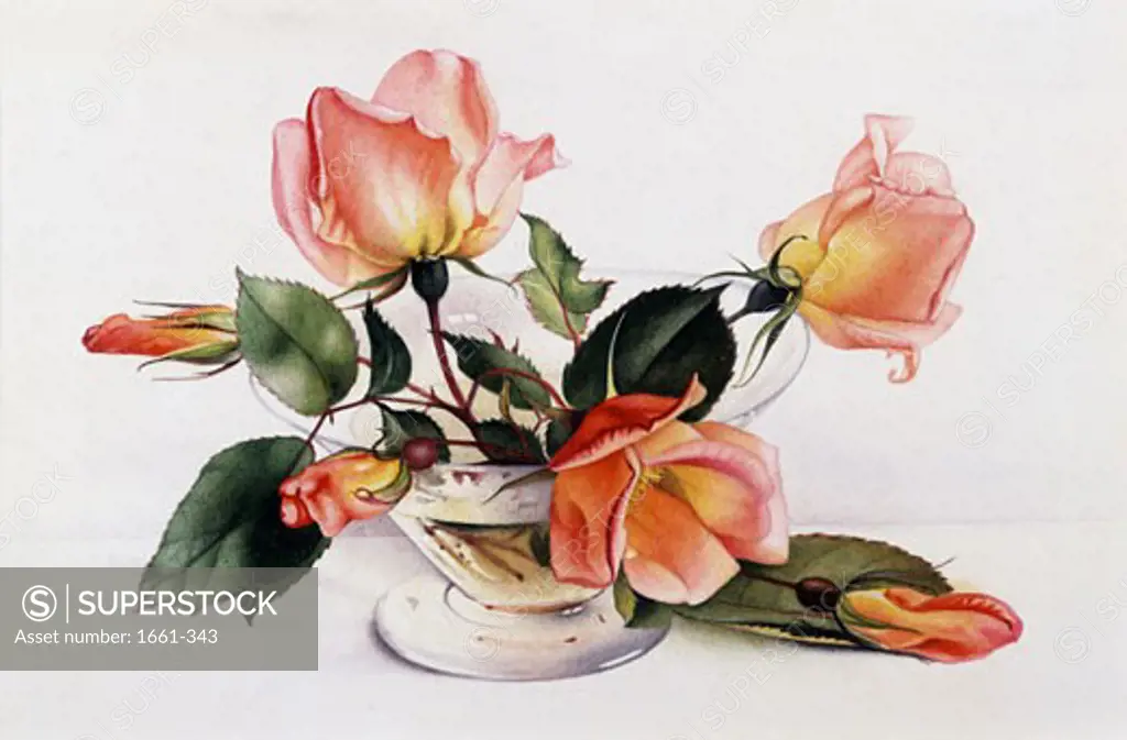 Peach Roses in a Glass Vase Edward Julius Detmold (1883-1957 British)