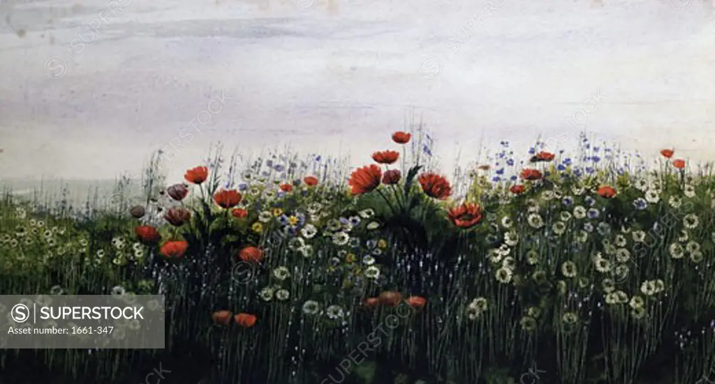 Summer Flowers Andrew Nicholl (1804-1886 Irish)