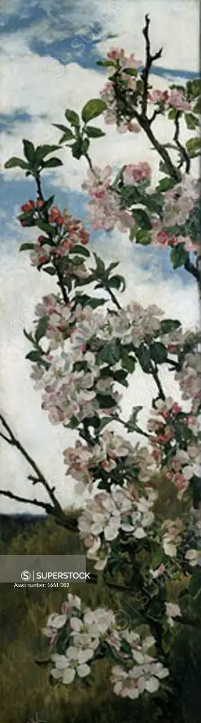 Spring Blossom Alfred William Parsons (1847-1920 British)