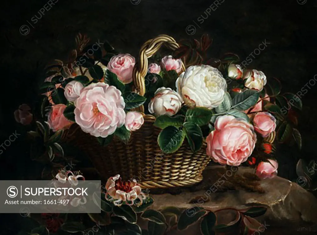 Still Life of Roses & Honeysuckle Johan Laurentz Jensen (1800-1856/Danish)