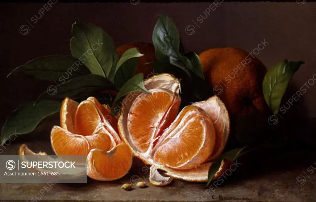 A Still Life of Oranges Carl Vilhelm Balsgaard (1812-1893 Danish)