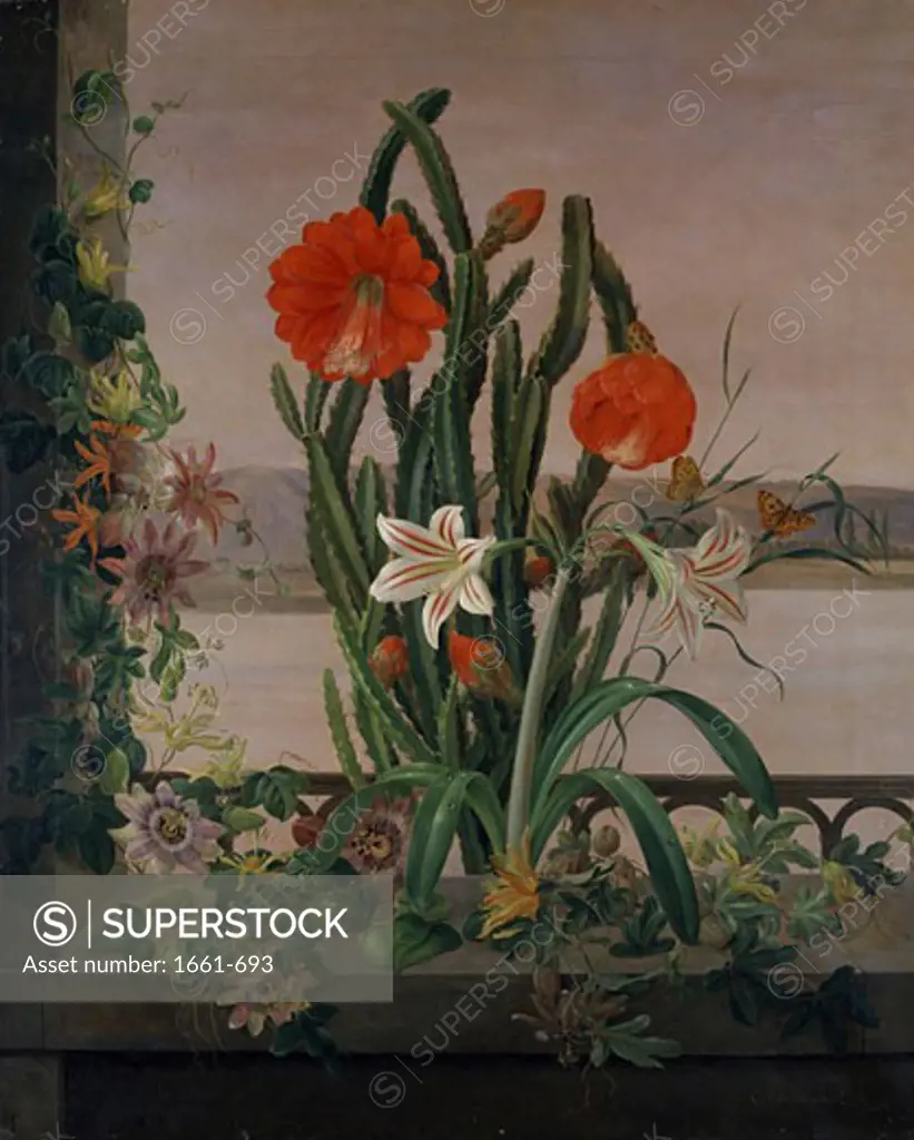 A Still Life of a Cactus, Lilies and Passion Flowers on a Window-Sill Christine Marie Lovmand (1803-1872)