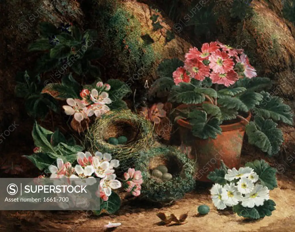 Apple Blossom and Primulas Oliver Clare (ca.1853-1927 British)