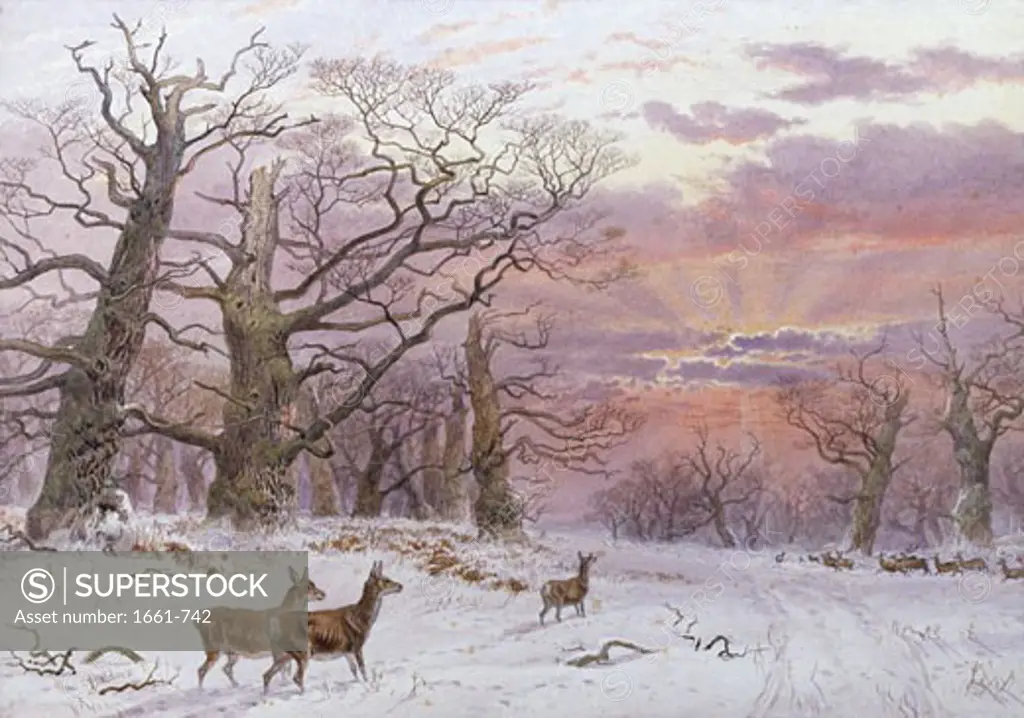 A Bright Winter Sunset, James Walsham Baldock, (1822-1898/British)
