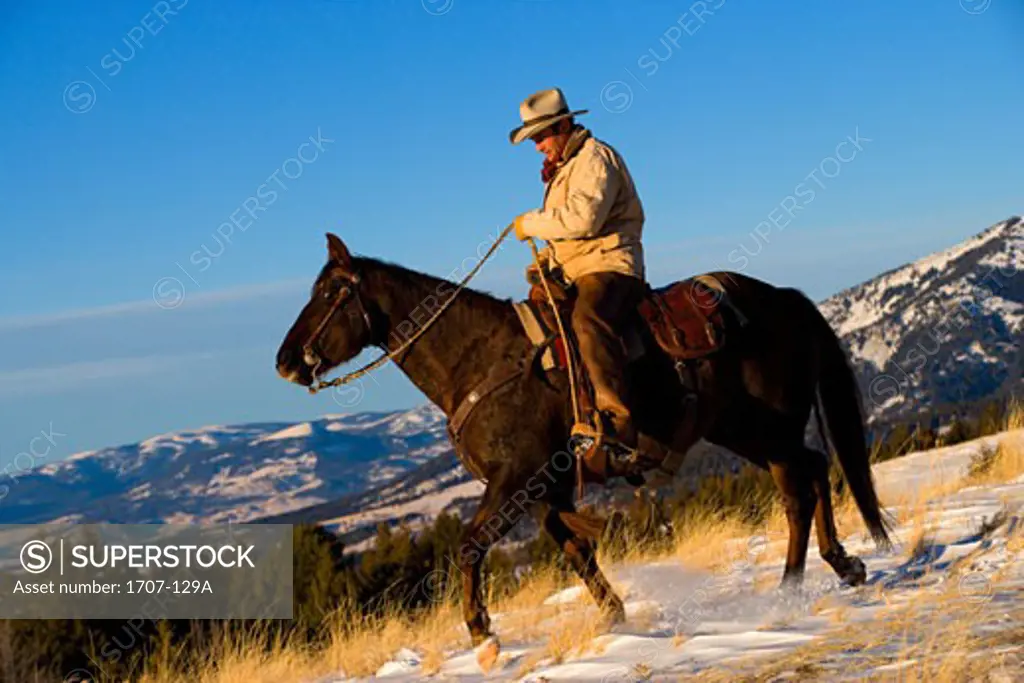 Mature man riding a horse in snow covered field