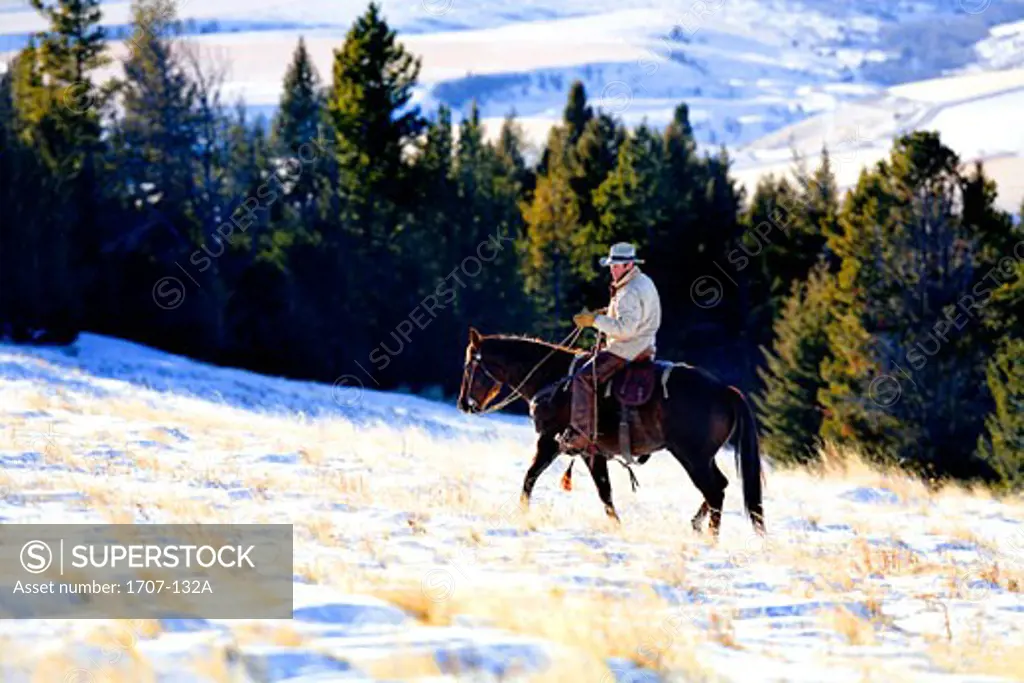Mature man riding a horse in a snow covered field