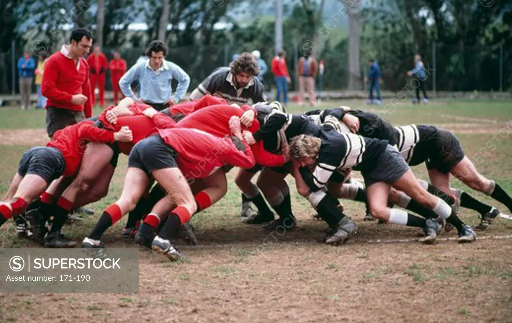 Rugby players in scrummage