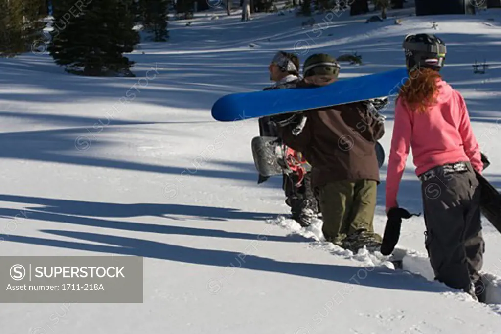 Young woman with a mid adult man and a young man walking and carrying snowboards