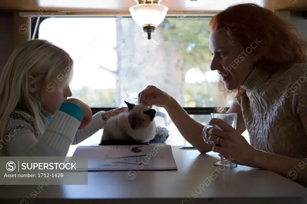 Mature woman and her daughter petting a cat