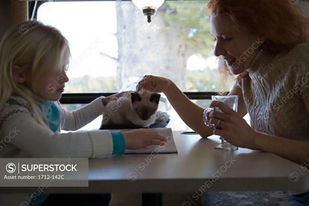 Mature woman and her daughter petting a cat and looking at a book
